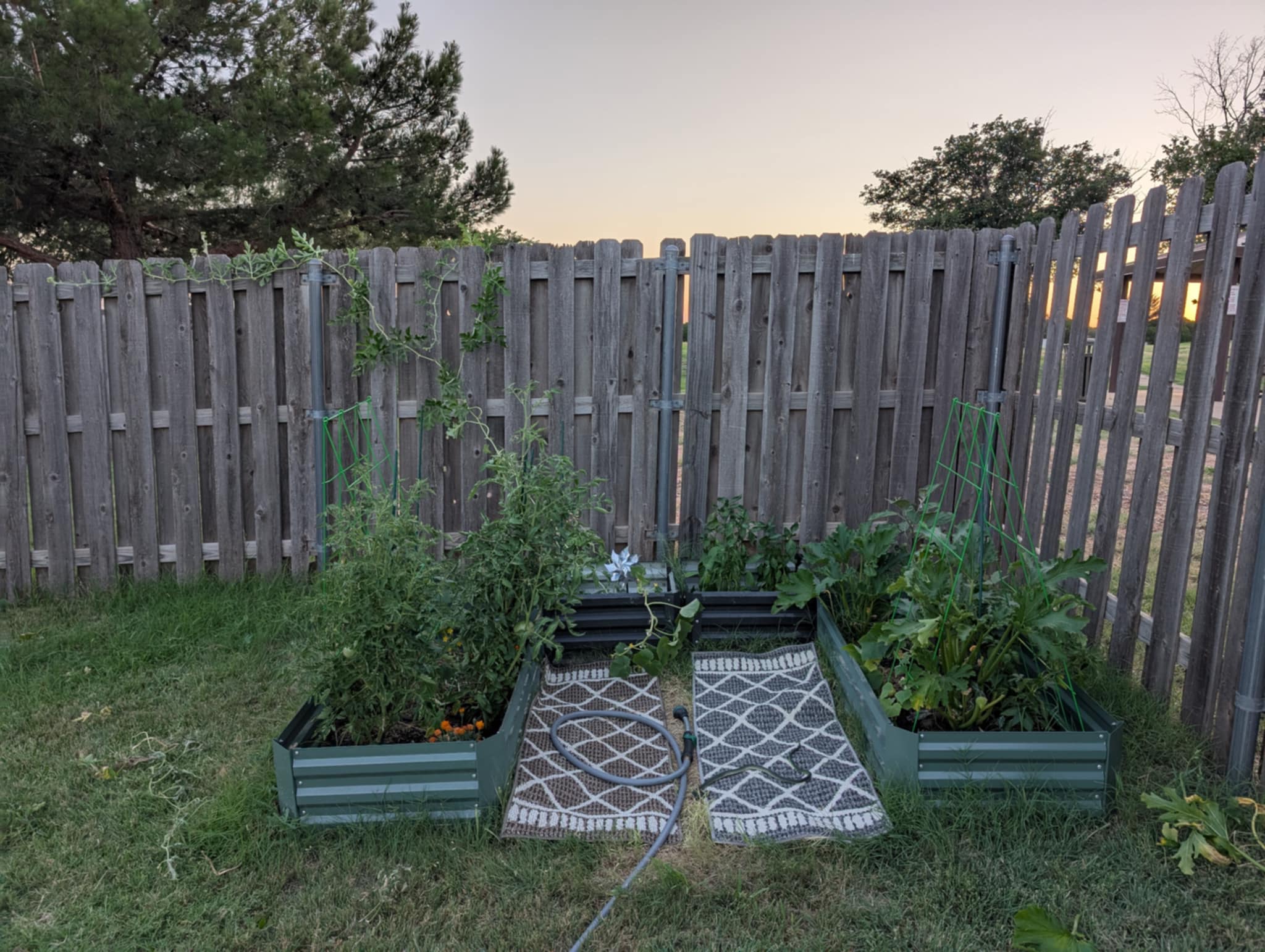 A small backyard garden