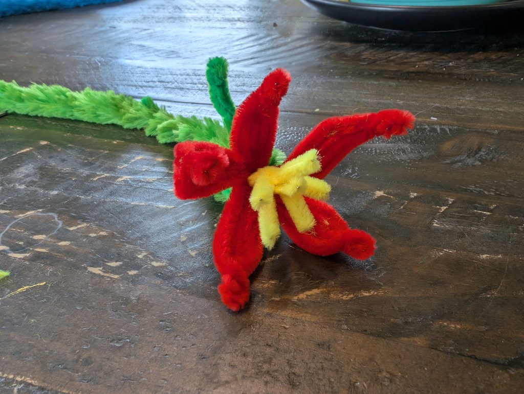 Week 5 in&nbsp;Review